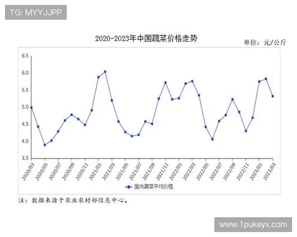 今日白菜价格查询：一斤多少钱？最新行情分析！