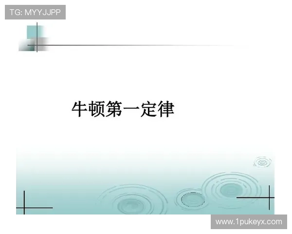 八牛是指什么？探究其背后的文化与意义